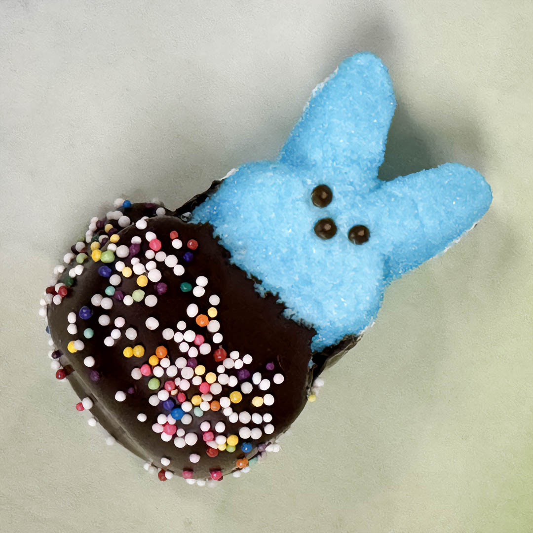 Marshmallow Rabbit , chocolate dipped