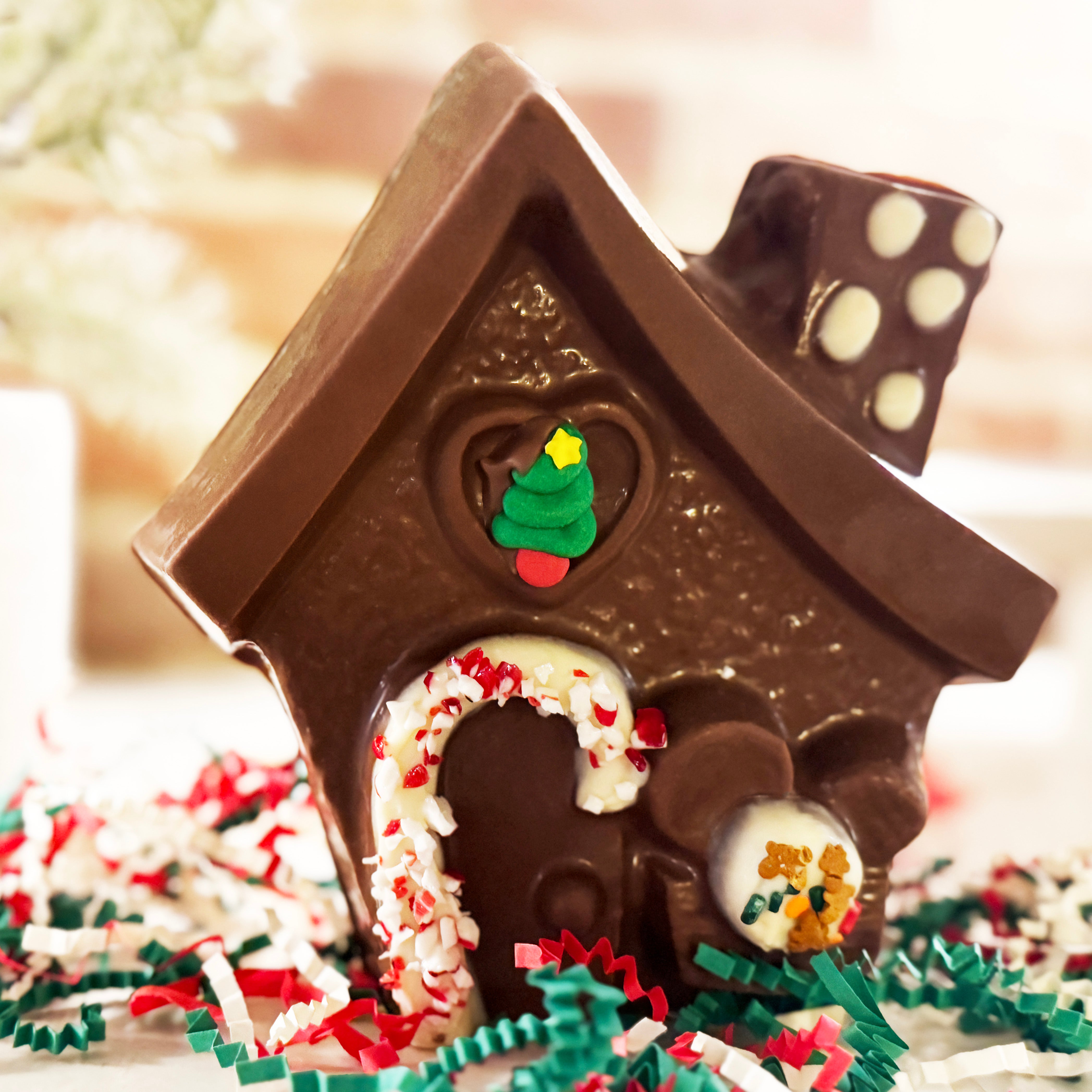 Gingerbread House Chocolate Mold