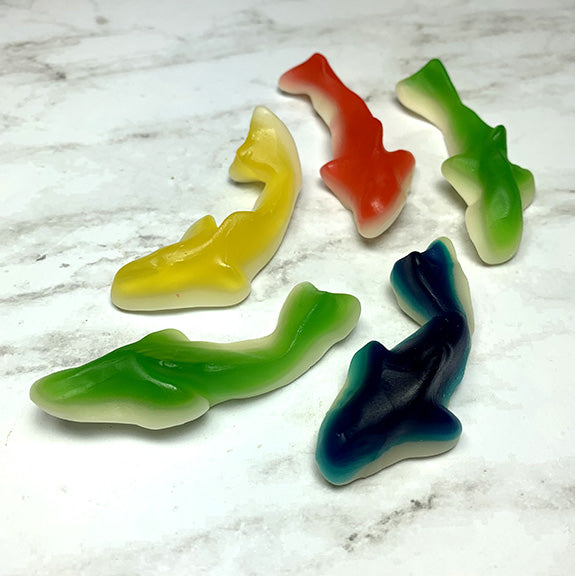 Gummy Sharks